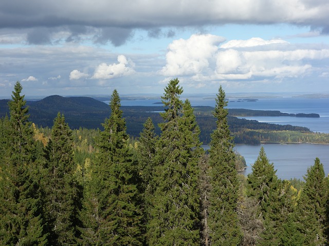 Pielinen, Finland: Naturens perle for sejlsportsentusiaster